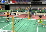 Related Images: Wii Sports-Alike Screens Inside News image