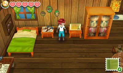 Story of Seasons - 3DS/2DS Screen