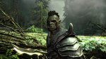 Ten Lovely Skyrim Screenshots News image