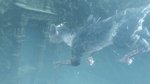 Trico / Last Guardian Images Ahoy News image