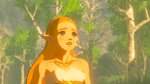 The Legend of Zelda: Breath of the Wild - Switch Screen