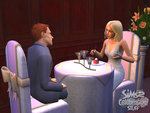 The Sims 2 Celebration! Stuff - PC Screen
