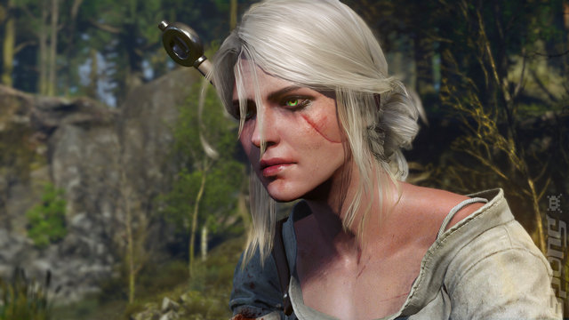 The Witcher 3: Wild Hunt - PC Screen