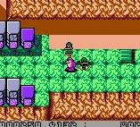 Tiny Toons: Dizzy�s Candy Quest - Game Boy Color Screen