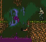 Tomb Raider - Game Boy Color Screen