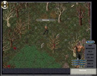 Ultima Online: The Third Dawn - PC Screen