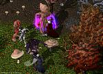 Related Images: New Ultima online screens News image