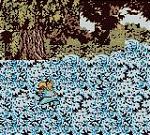 Walt Disney's Alice In Wonderland - Game Boy Color Screen