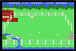 Yolk's on You - Colecovision Screen